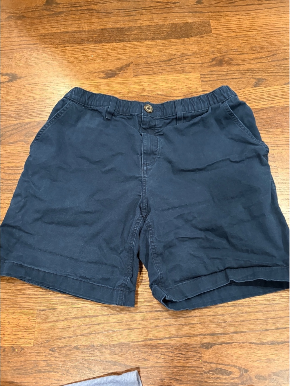 Chubbies Navy Blue Regular Fit Shorts, Size Large